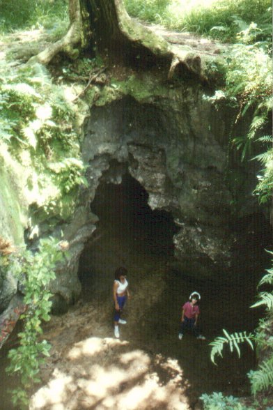 Main Cave in Withlacoochee State Forest