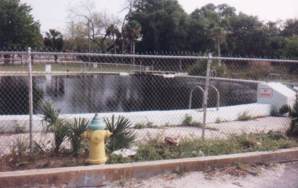 Picture Of Sulphur Springs Pool